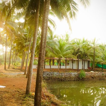 India Yoga Village Canacona Exteriér fotografie