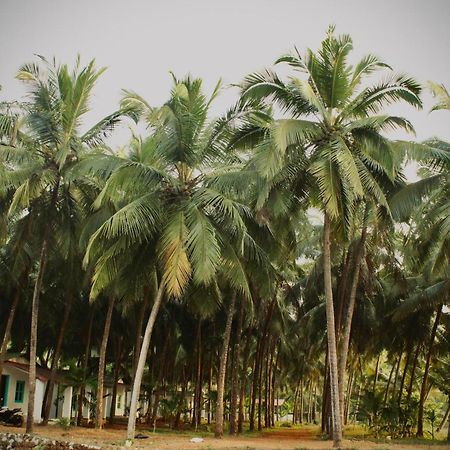 India Yoga Village Canacona Exteriér fotografie