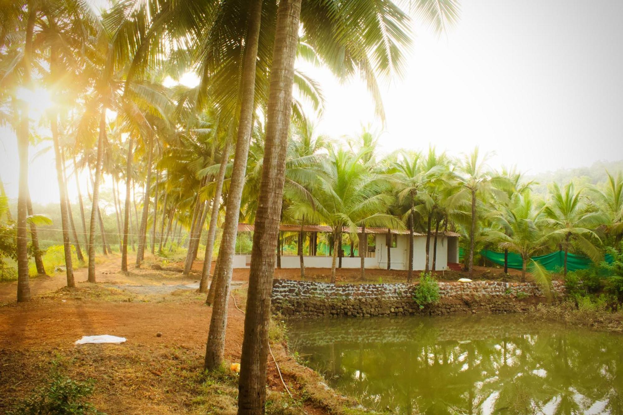 India Yoga Village Canacona Exteriér fotografie